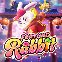 Fortune Rabbit